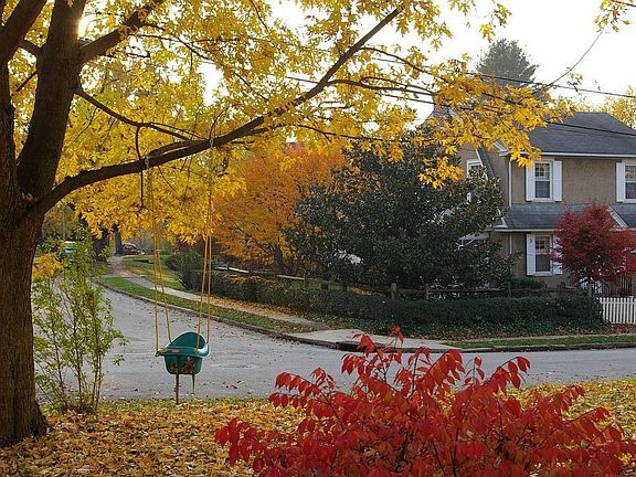 view from the front yard