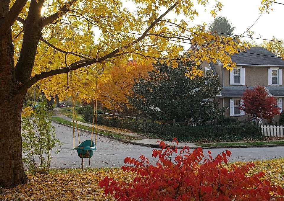 view from the front yard