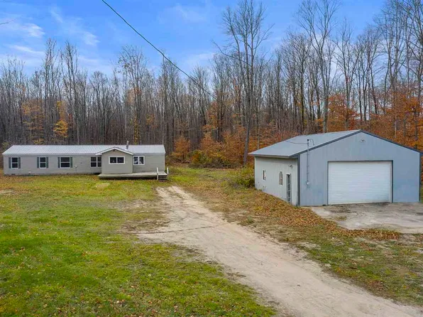 11219 Pickerel Lake Rd, Alanson, MI 49706