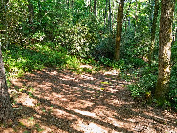 2nd image of 788 Rainey Knobs Rd