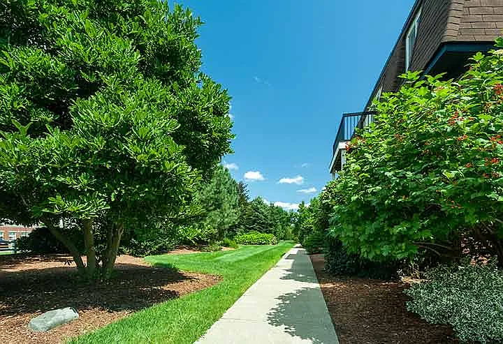 Lush Landscaping