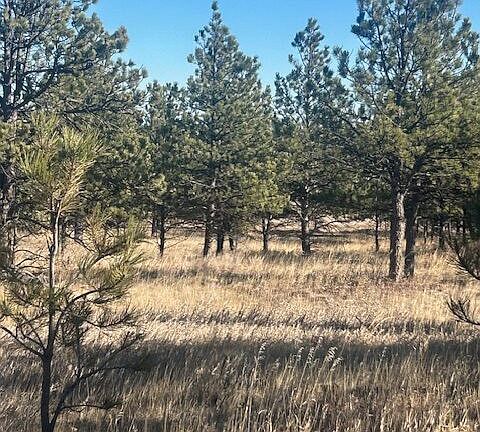 2nd image of Windriver Pl