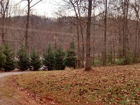 View of front yard and Rt. 29 (shared driveway)