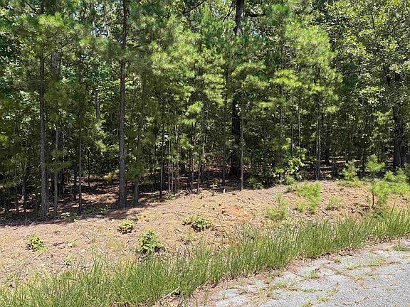 3rd image of LOT 26 Island Shrs