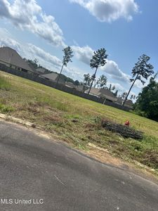 669 Bearing Way #225, Brandon, MS, 39047