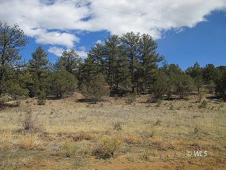 4th image of 15322 County Road 143