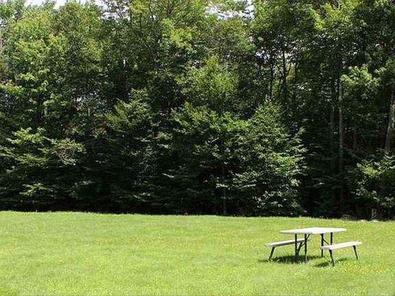 Middle back yard