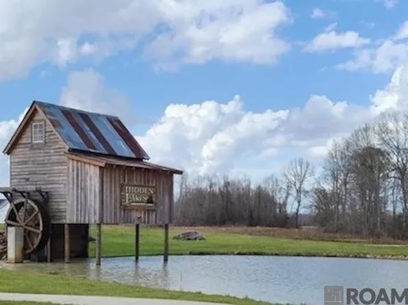 43529 Collyns Cv, Prairieville, LA 70769