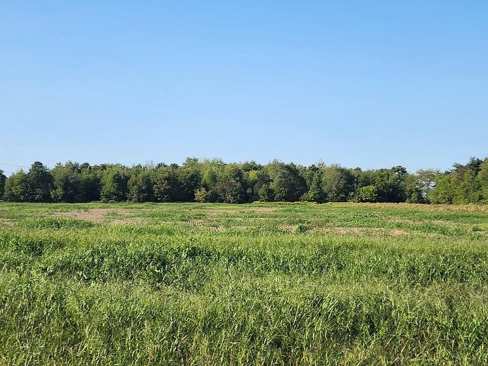 2nd image of 0 Hinchman Rd