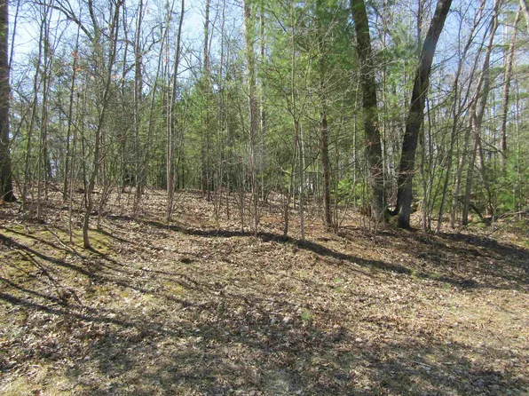 00_VL Onondaga Trl, West Branch, MI 48661