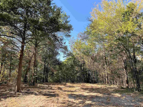 Lone Oak Dr, Palestine, TX 75803