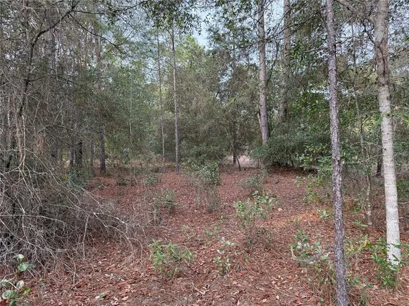 SW Audubon Ave Lot 26, Dunnellon, FL 34431