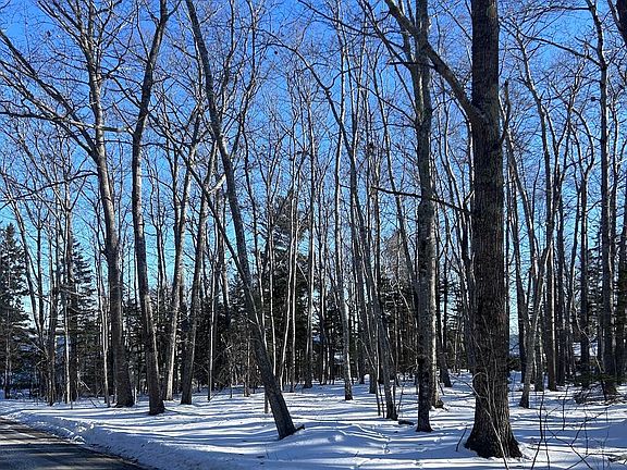 5th image of 100 Degregoire Park