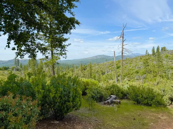 Fricot City Rd, Sheep Ranch, CA 95246