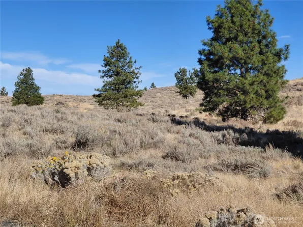 0 nna Columbia River Bluffs Road, Orondo, WA 98843