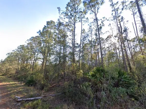 1054 ROBIN STREET, LAKE PLACID, FL 33852
