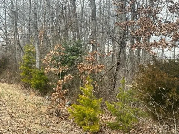 12 Casey Ln, Madison Heights, VA 24572