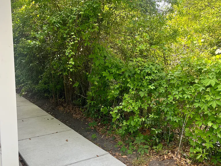 Bluebird Dr — Photo 17