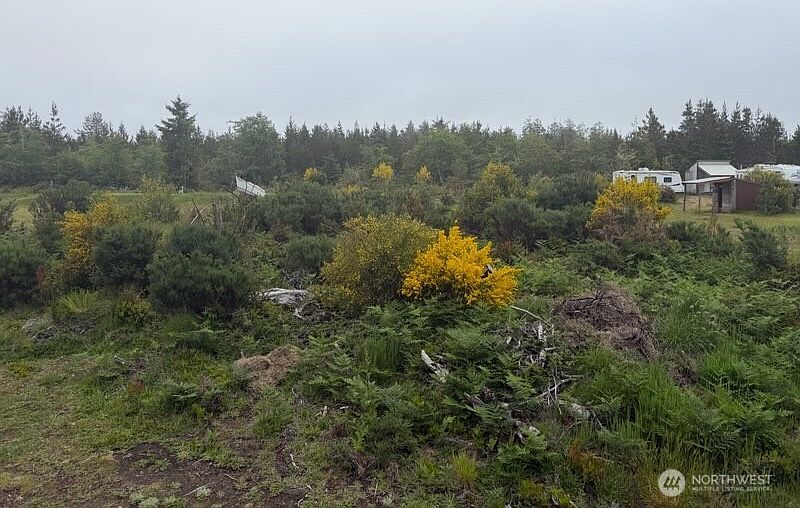 2nd image of 29880 T Lane