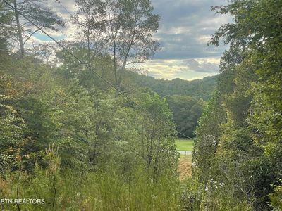 Buffalo Creek Rd, Oneida, TN, 37841