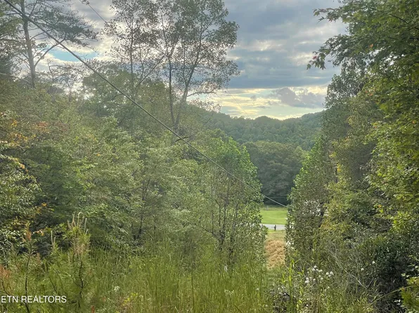 Buffalo Creek Rd, Oneida, TN 37841