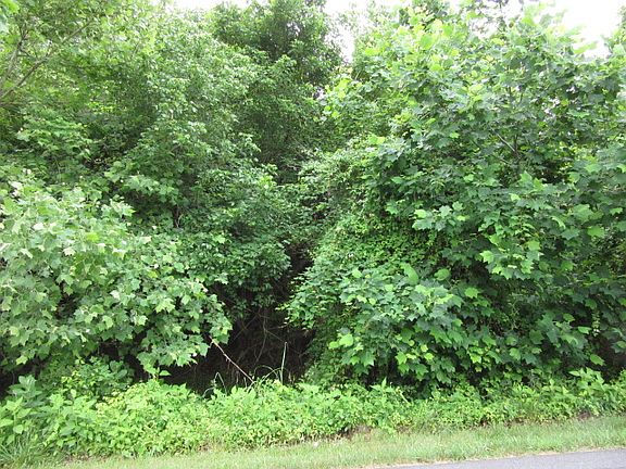 3rd image of Lot 9 St. John's Circle