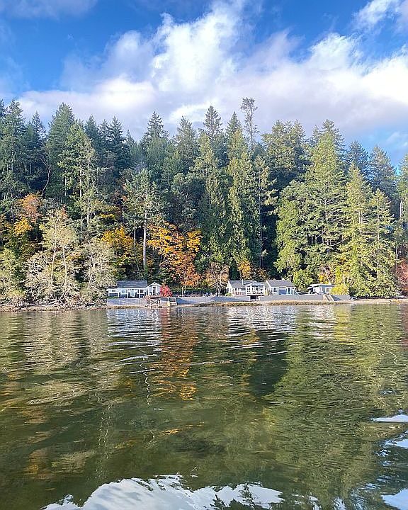 The compound from the water 
