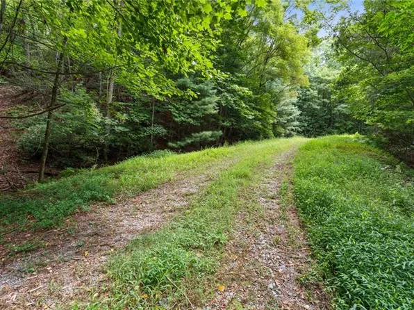 10 Papa Bear Path, Cherry Log, GA 30522