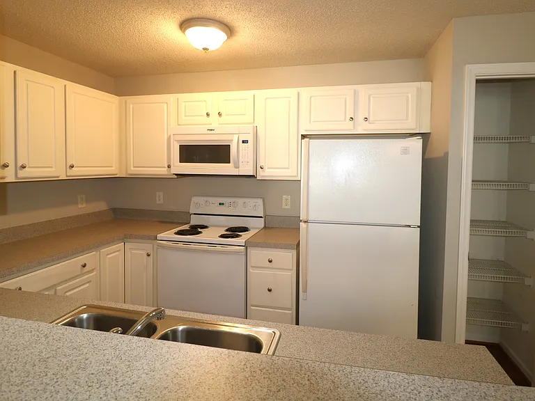 421 Timberline Ridge Ct — Photo 6