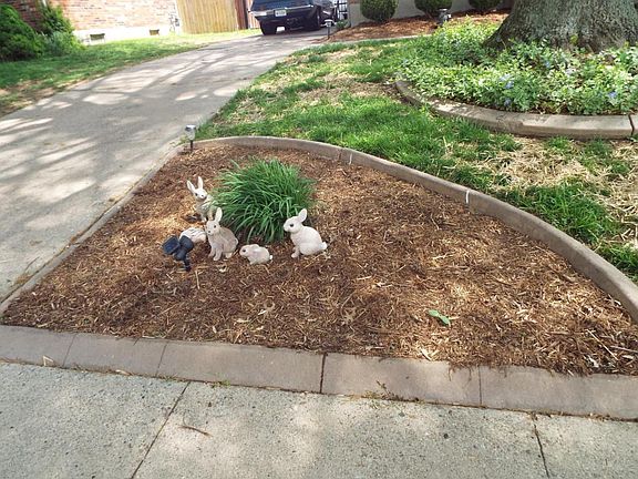 Planter Bed out front