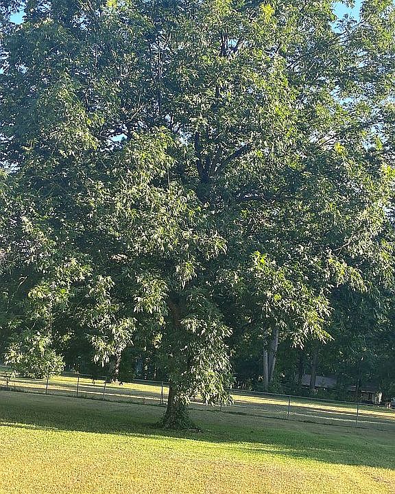 Beautiful 4 acre lot!