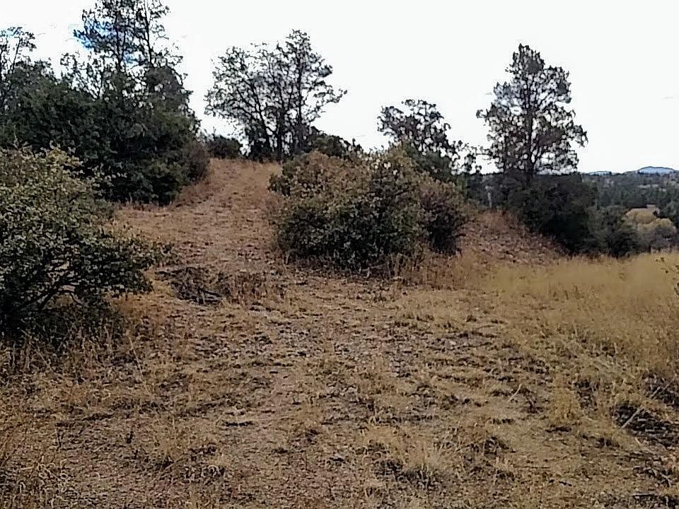2nd image of 2325 Loma Vista Dr