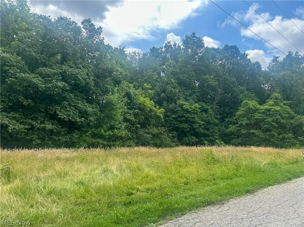 Longwood Ave, Niles, OH 44446