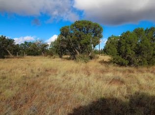 8330 Rainbow Dr, Show Low, AZ 85901