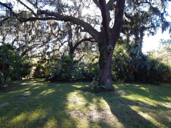 County Road 218, Middleburg, FL 32068