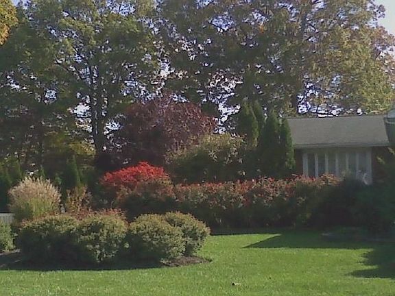 2nd image of 39 Donna Dr