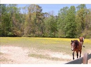 4300 Lake Point Rd, Suffolk, VA 23434