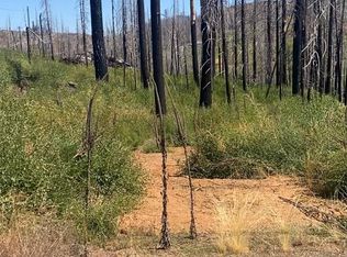 4708 Creekside Dr, Grizzly Flats, CA