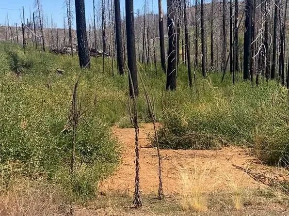 4708 Creekside Dr, Grizzly Flats, CA 95636