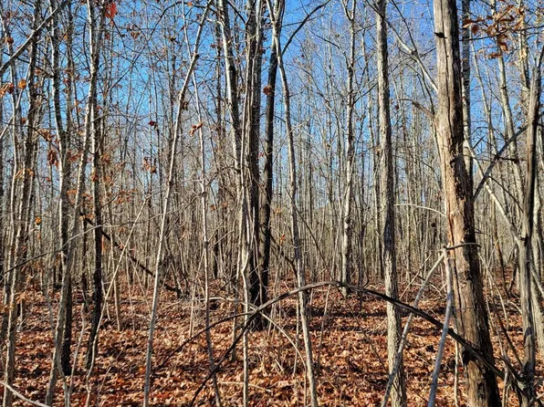 13 Down Creek Rd, Brookneal, VA 24528