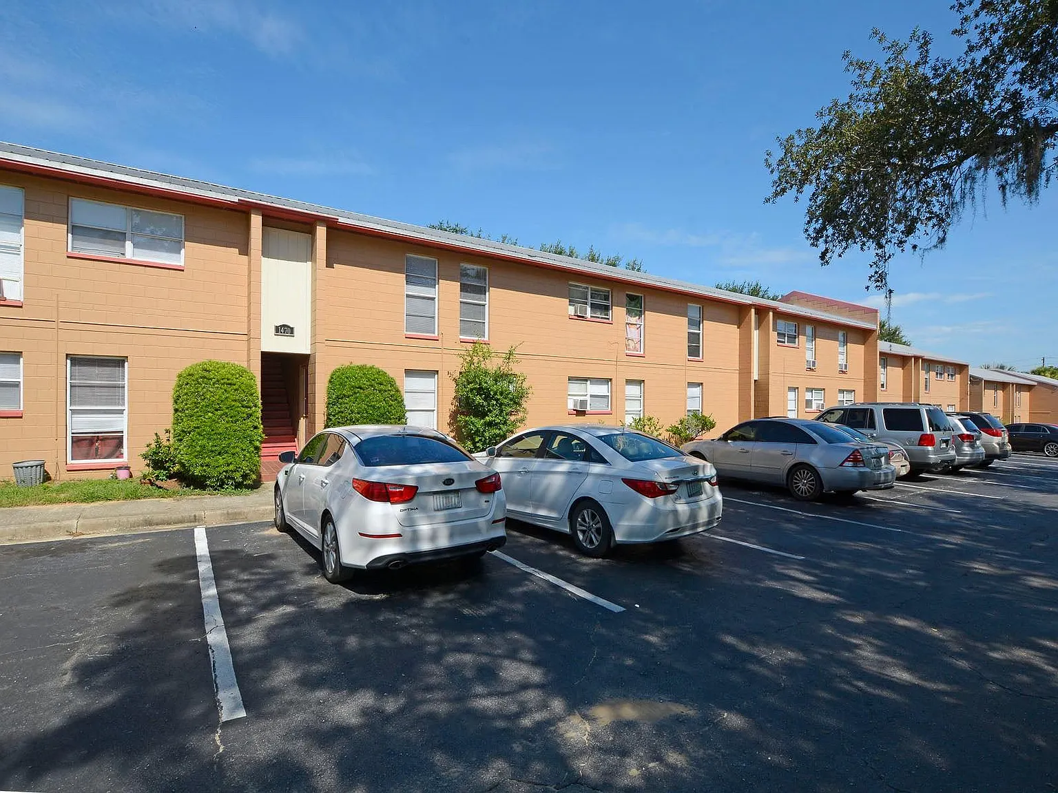 2 bed, 800 sqft, $1,225 — Photo 1