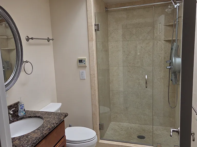 Primary bath shower