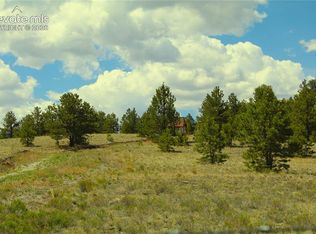 60 Hill Dr, Hartsel, CO 80449