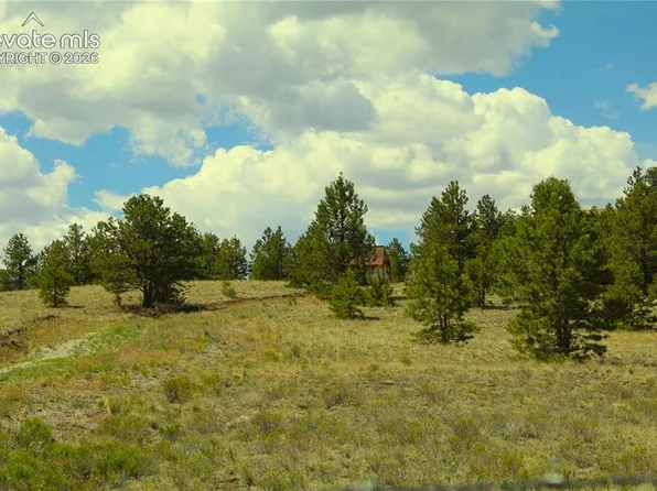 60 Hill Dr, Hartsel, CO 80449