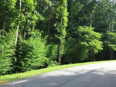 0 00 Shadburn Ferry Rd, Cumming, GA, 30041