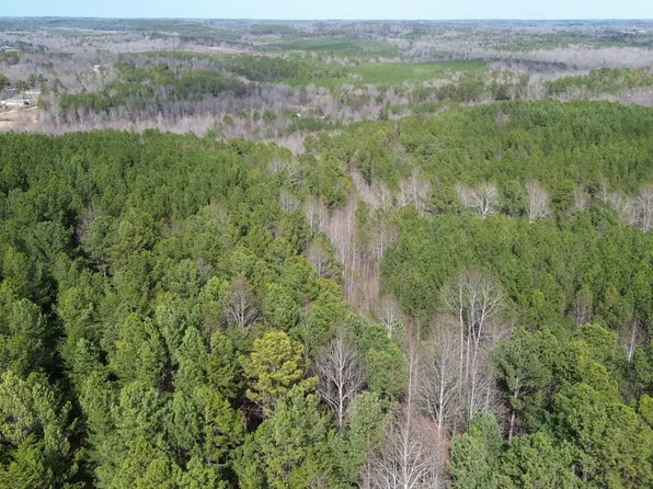 0 County Road 28, Haleyville, AL 35565