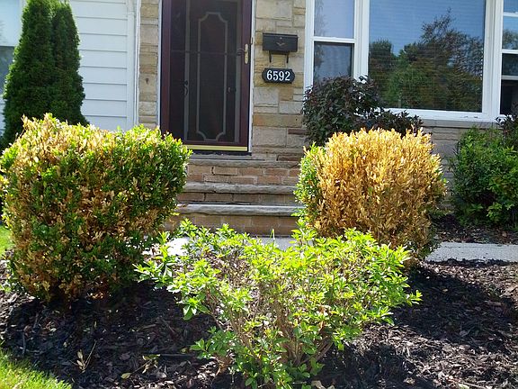 3rd image of 6592 Solon Blvd