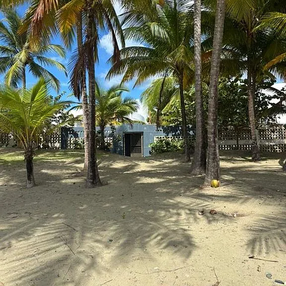 PH 1-A Arroyo Beach Resort #PH1-A — Photo 39