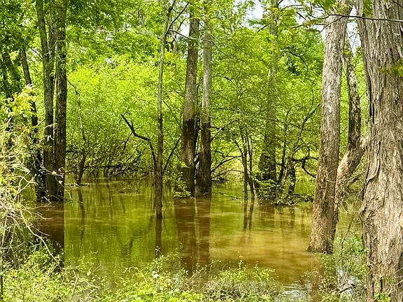 2nd image of Jefferson Lincoln County Line Rd