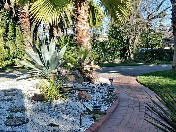 Walkway to entrance_10252016